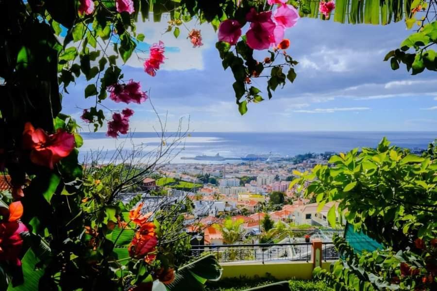 Granny'S House View Villa Funchal  Exterior photo