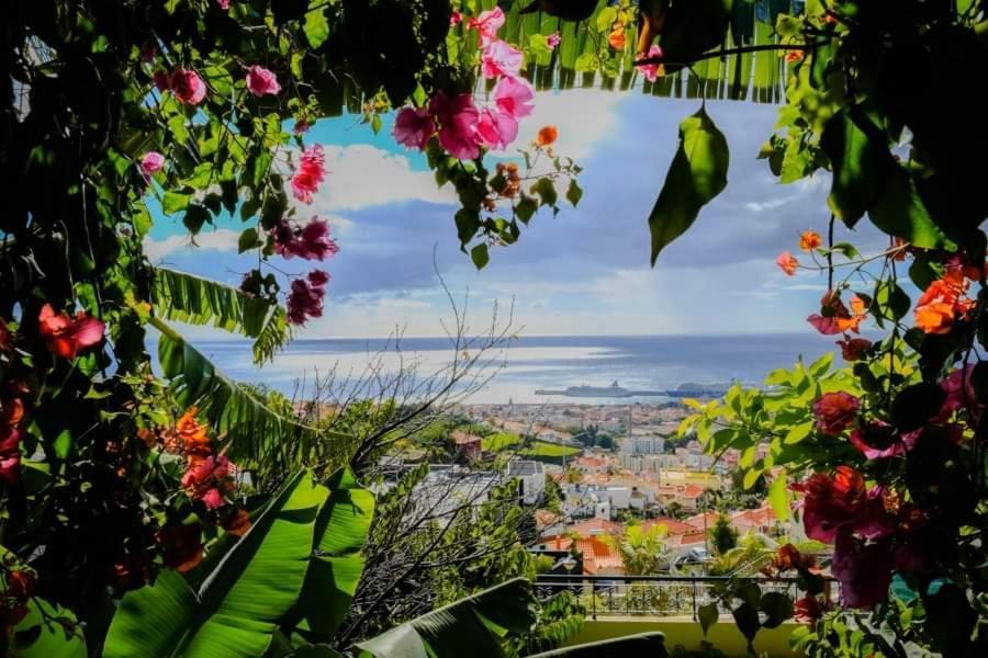 Granny'S House View Villa Funchal  Exterior photo